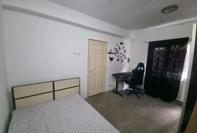 Apartament cu 2 camere semidecomandat în Ozana - 5