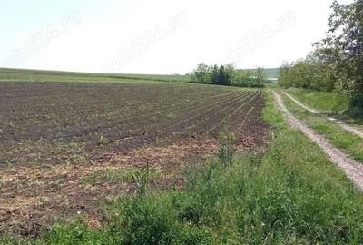 Teren de 2580 mp, în Potângeni - 2