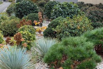 Apartament 2 camere Cortina Pipera cu loc de parcare subteran - 57