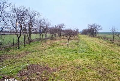 Casă cu 3 camere cu Teren 750 Mp în Gepiu - 1