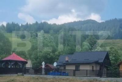 Casă cu 4 camere cu Teren 4158 Mp în Central - 8