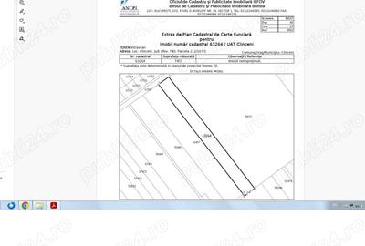 Teren de 7453 mp, în Clinceni - 3