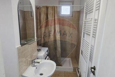 Apartament cu 1 camere de inchiriat in zona Central - 7