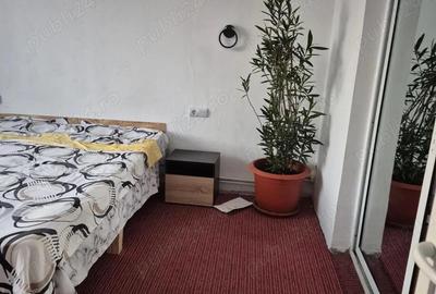 Inchiriez casa Preajba,com Malu Mare - 7