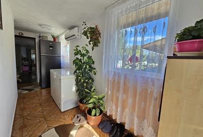 Casa individuala cu teren generos Jilava - Str Garii - 20