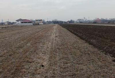 Teren de 4800 mp, în Mărăcineni