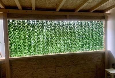 Garsonieră în Poșta - 5