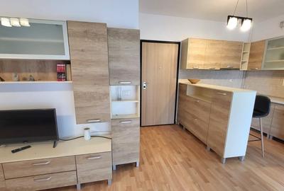 Garsonieră semidecomandată, mobilată în Dumbrăvița - 3