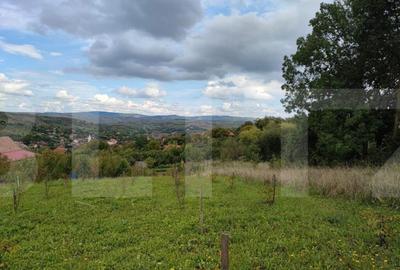 Teren intravilan construibil, 1196 mp, pentru o casa, in Coj - 1