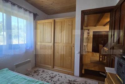 Casa de vacanca cu potential turistic, 1603 mp teren, Cernatesti - 7