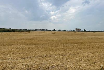 TEREN INTRAVILAM?N BALOTESTI -9041MP / FS 40ML /  ?NGA THERMEE - 4