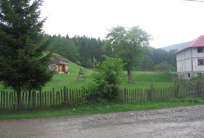 Teren intravilan Valea Doftanei - 13