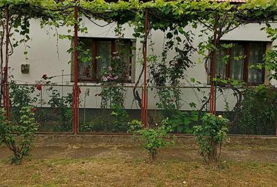 Casă cu 2 camere cu Teren 2300 Mp în Criciova - 1