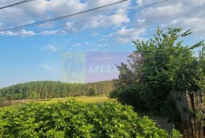 Se vinde teren 2150 mp in Teisori Giurgiu - 8