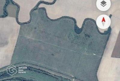 Teren agricol extravilan de 500000 mp, în Bazoșu Nou - 2