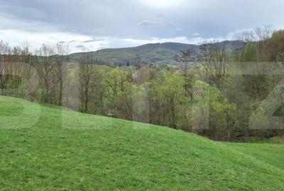 Spațiu comercial, în Vad - 7