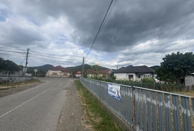 Teren de 1200 mp, în Tăuții-Măgherăuș - 6