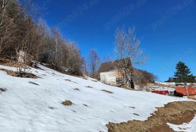 Casa batraneasca - 5