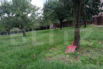 Teren de 1520 mp, în Păulești - 2