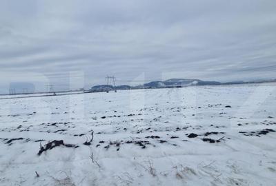 Teren extravilan arabil pretabil investitie casa sau afacere - 7