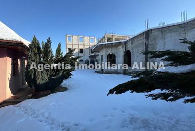 Spațiu comercial, de 2,500 mp, în 700 - 6