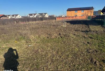 Spațiu comercial, în Moșnița Nouă - 2