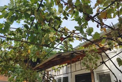 Casă cu 3 camere cu Teren 100 Mp în Episcopia Bihorului - 2