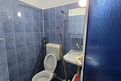 Decebal, Rond Alba Iulia, pe Moise Nicoara, renovata, mobilata si utilata - 8