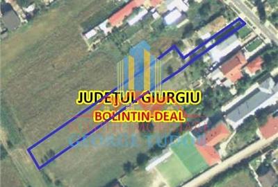 Teren Construcții intravilan de 2992 mp, în Bolintin-Deal - 3