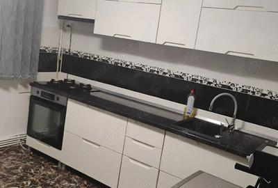 Inchiriez apartament 2 camere pe Malul Timi?ului - 5
