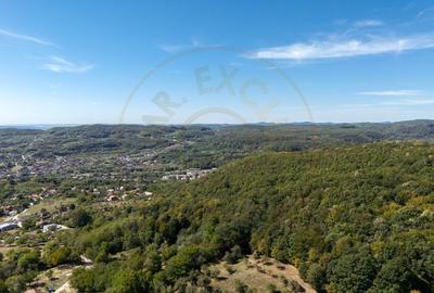 Terenuri 12.225 mp - Ramnicu Valcea, Aranghel - 13