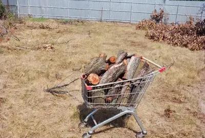 Teren intravilan 939 mp, Tag?oru Nou Teren intravilan 939 mp, Tag?oru Nou - 1