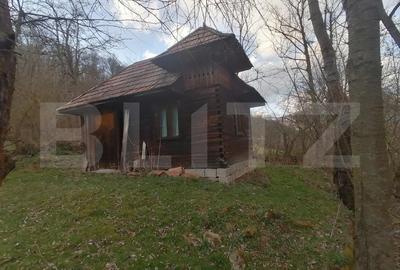 Teren intravilan 2900 mp in Zona Presaca Ampoiului - 1