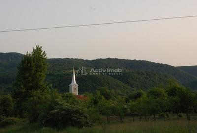 Casă cu 3 camere cu Teren 609 Mp în Uileacu de Beiuș - 11