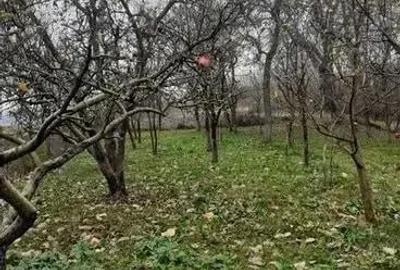 Casă cu 2 camere în Rediu - 4