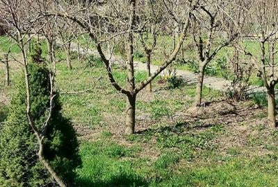 Casă în Racovițeni - 1