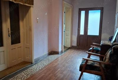 Casa in Ora?tie, zona cu vad - 10