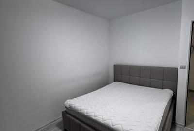 Apartament cu 3 camere decomandat, mobilat în Valea Rosie - 7