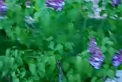 Urgent!Proprietar - 4