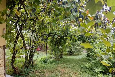 Dau in chirie casa in Turda,jud.Cj,4 cam. 500 eur - 12
