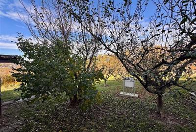 Casă individuală cu 3 camere cu Teren 4000 Mp în Bârnova - 8