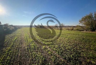 Teren de 12650 mp, în Ghirdoveni - 5