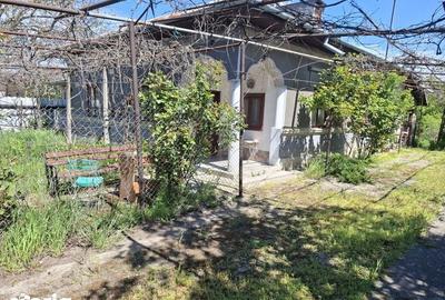 Casă cu 4 camere cu Teren 2312 Mp în Titan