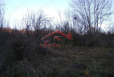 Teren de 2313 mp, în Cornu