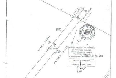 Teren Capsunarie, str. Crizantemelor Teren Capsunarie, str. Crizantemelor - 1