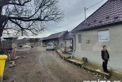 Casa individuala + 7,1 ha de teren dispersat, in Pinticu - 4