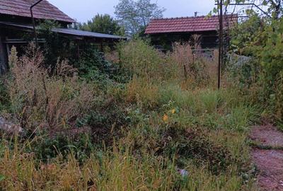 Casa si teren in jude?ul Valcea comuna Lade?ti sat Chirice?ti - 6