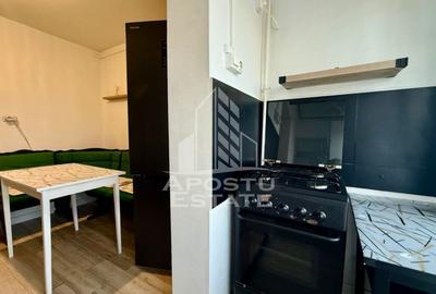 Apartament cu 2 camere decomandat, mobilat în Lipovei - 10