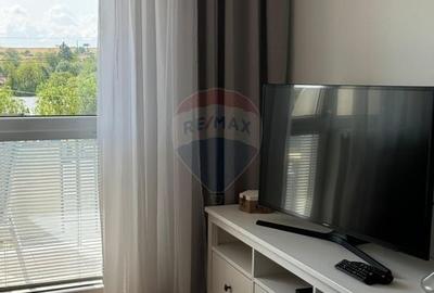 Apartament spatios de vanzare in zona turistica - Sinteu, Bihor - 19