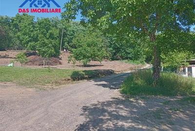 Teren intravilan,  2,5 ha, zona de deal in Seini - 2